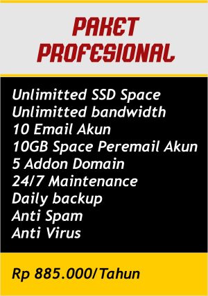 Paket profesional tahunan 2